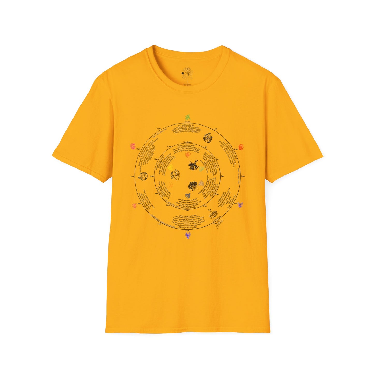 traditional eastern medicine circadian clock