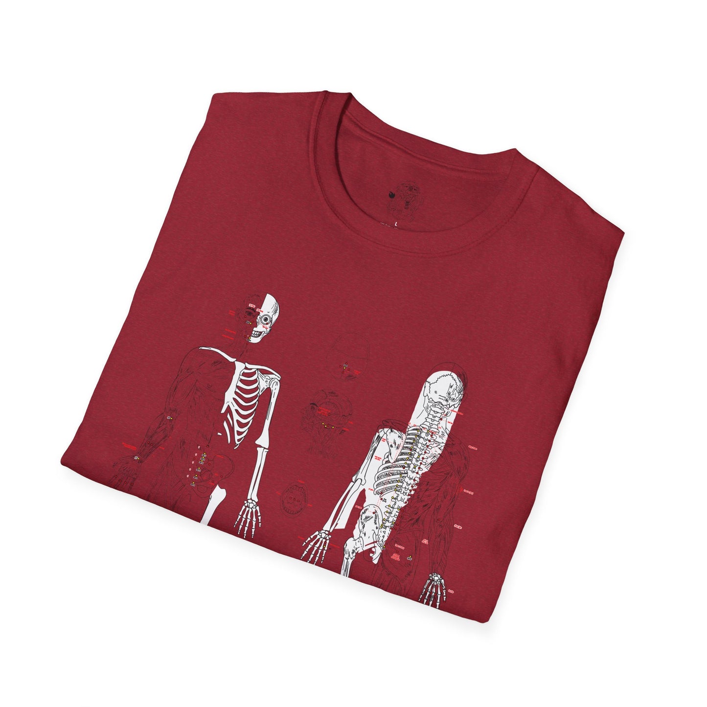 extra acupuncture points - skeletal/muscle model - traditional eastern medicine